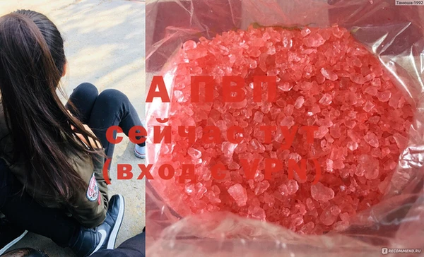 амф Бородино