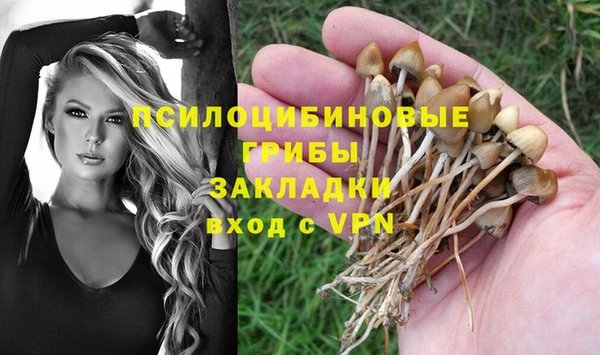 тгк Бугульма
