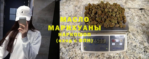амф Бородино