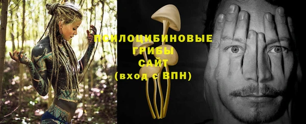 амф Бородино
