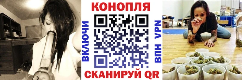 Шишки марихуана Ganja  Улан-Удэ 